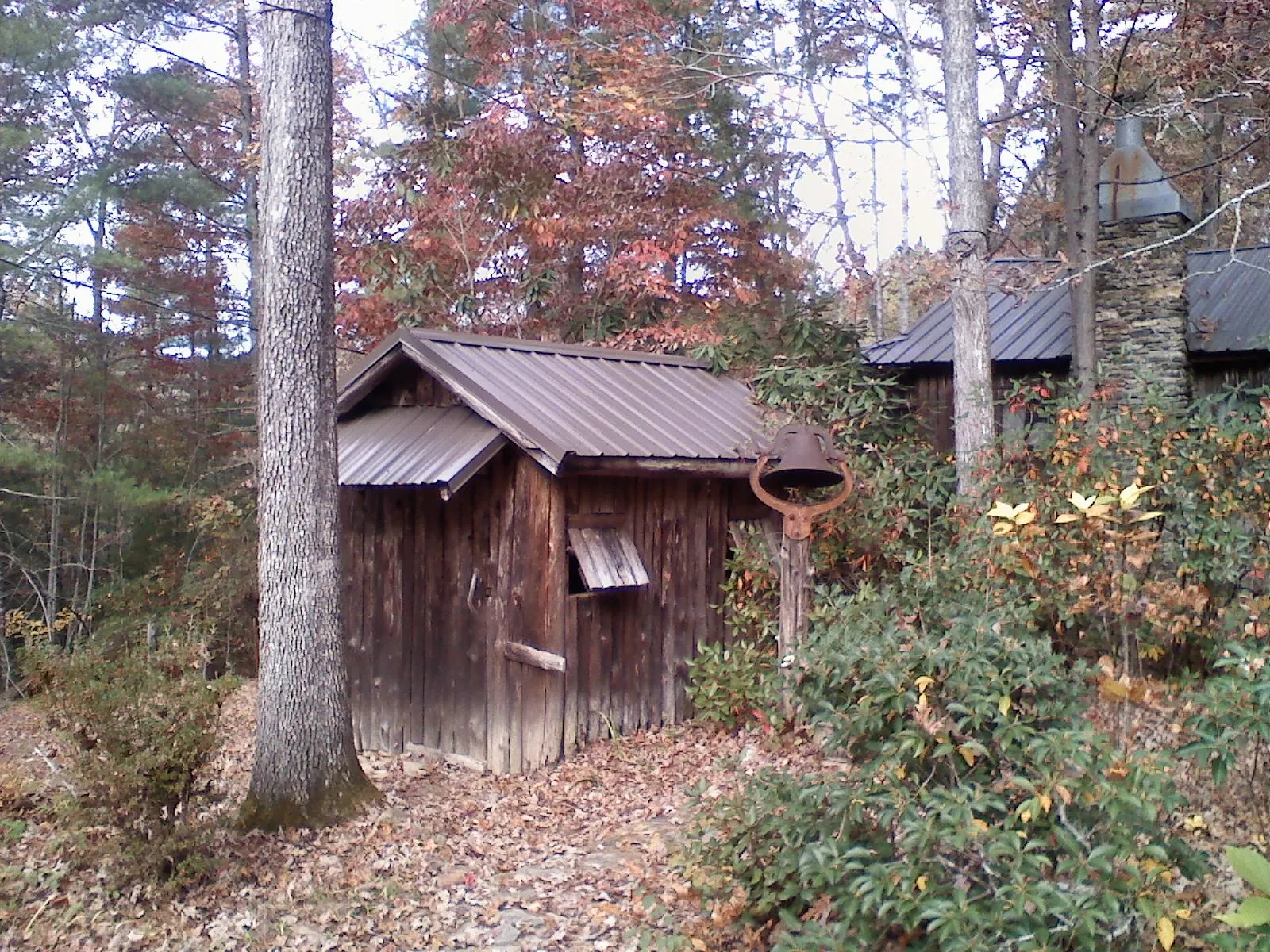 Small metal roof on a rough sawn shed in the woods in Waxhaw